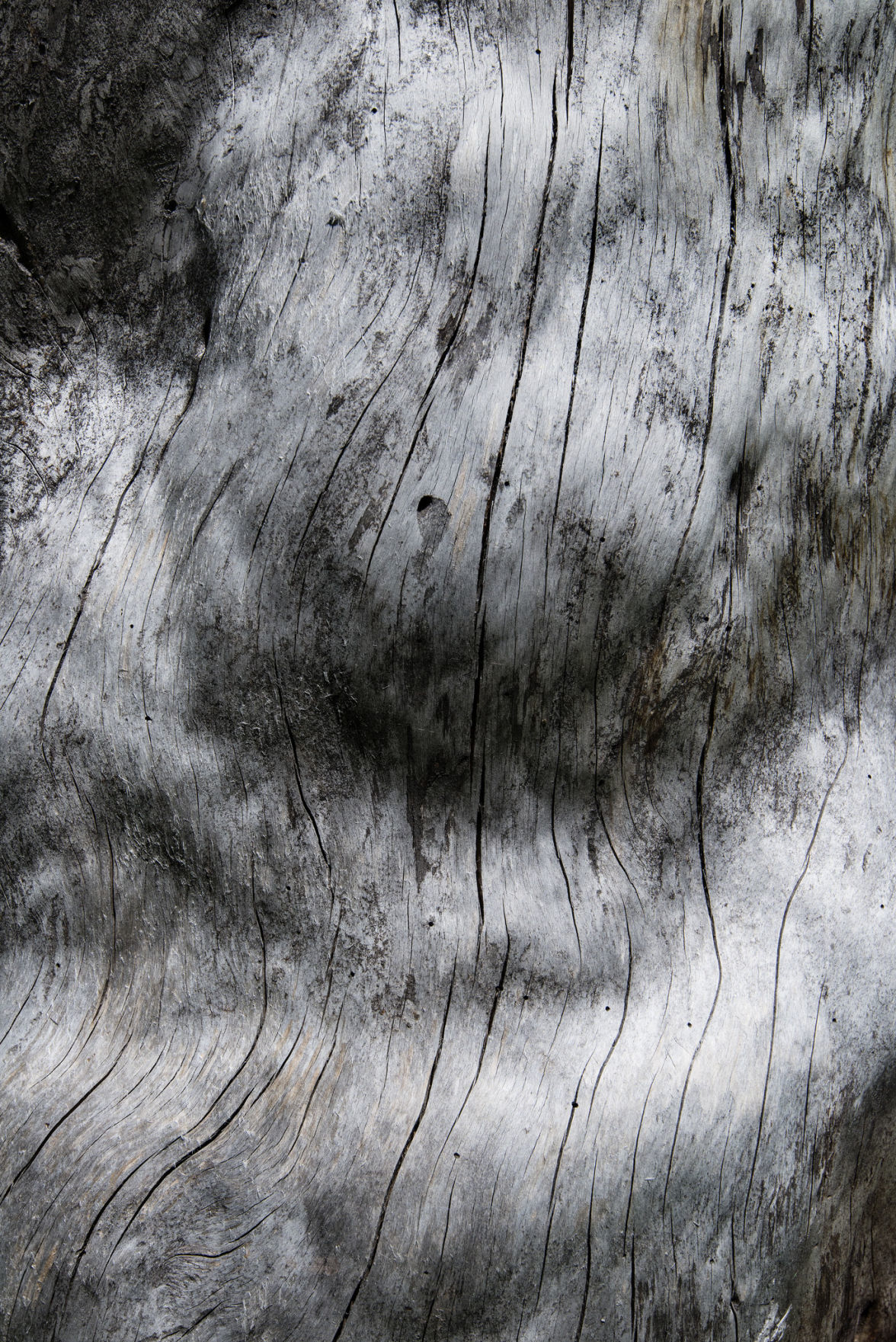 Old wood